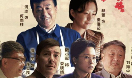 情满四合院电视剧,岁月流转中的邻里情深