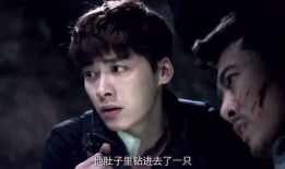 盗墓笔记电视剧第一季,神秘古墓，探险之旅开启